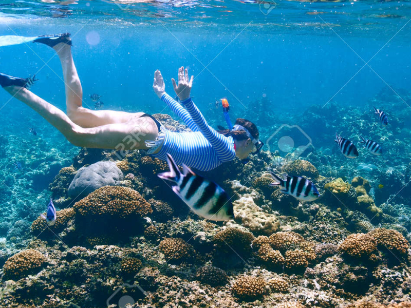 Snorkeling Tour