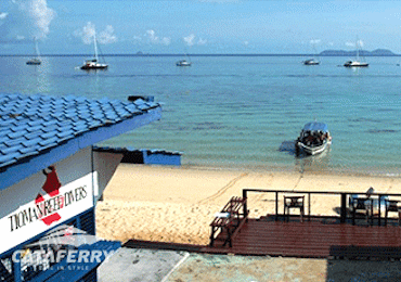 Tekek Tioman The Capital Village of Tioman Island