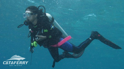 Ray's Dive Adventure | Book Tioman Ferry Ticket