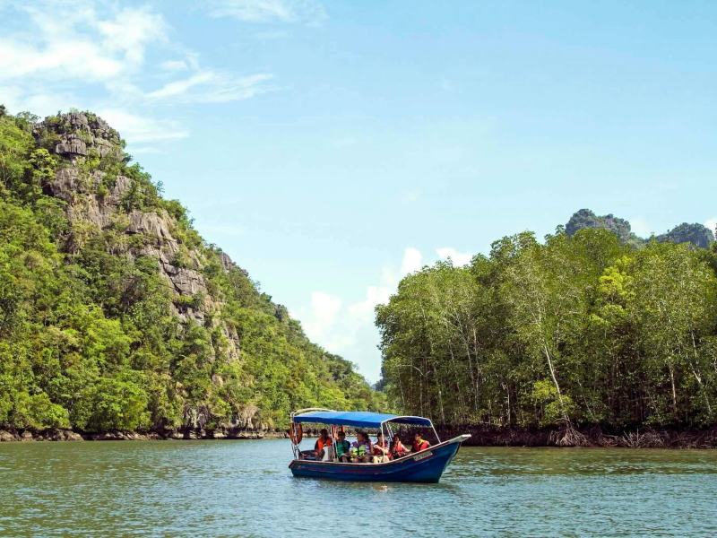 Mangrove River Cruise