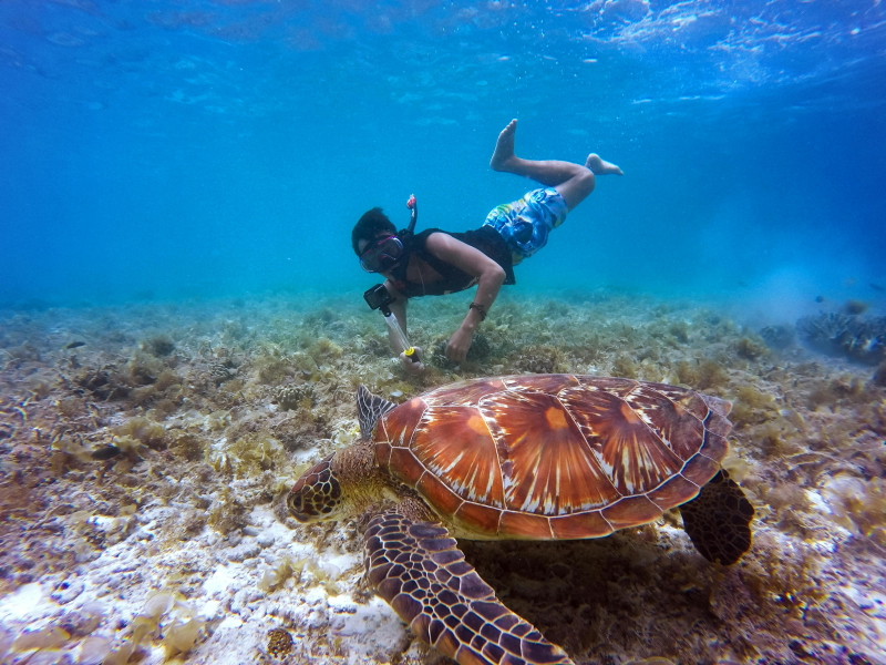 Snorkeling Tour